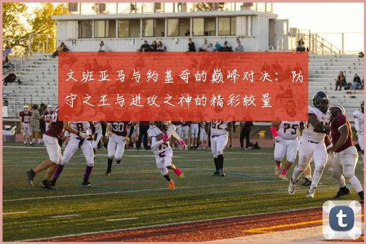 文班亚马与约基奇的巅峰对决：防守之王与进攻之神的精彩较量